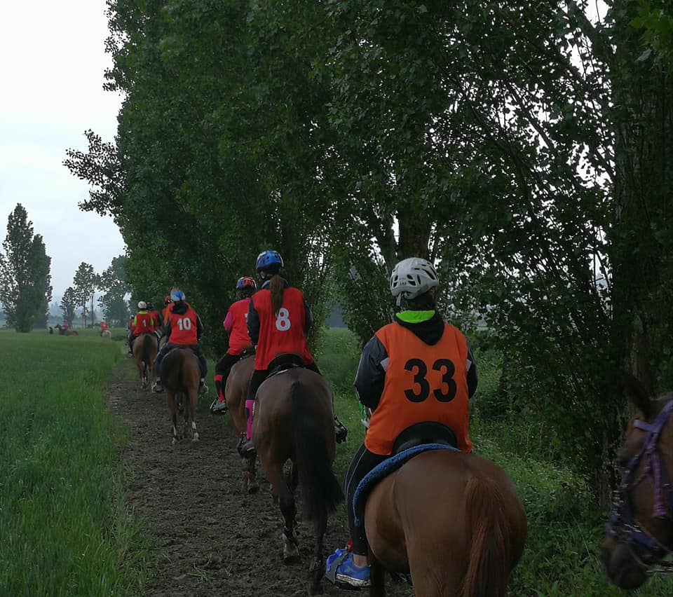 Resultados del Campeonato Navarro de Raid CEI*, CEN*, CET0*, Promoci&oacute;n 60km y 40km celebrado en A&ntilde;ezcar